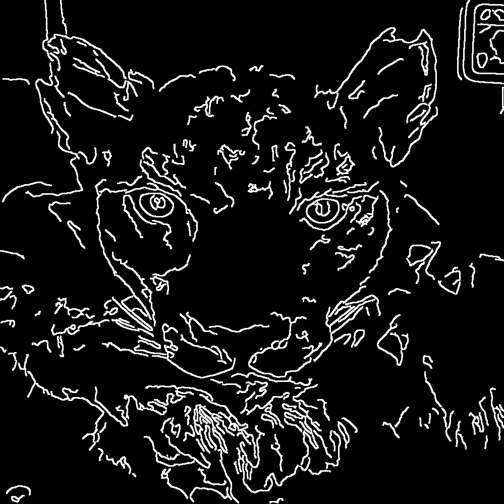 nullified mountain lion