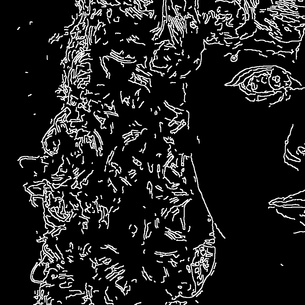 nullified selfie of tess