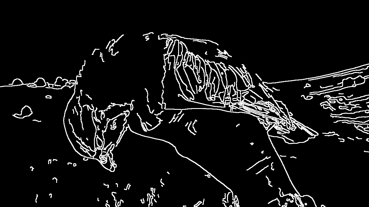 wireframe rendition of a bird