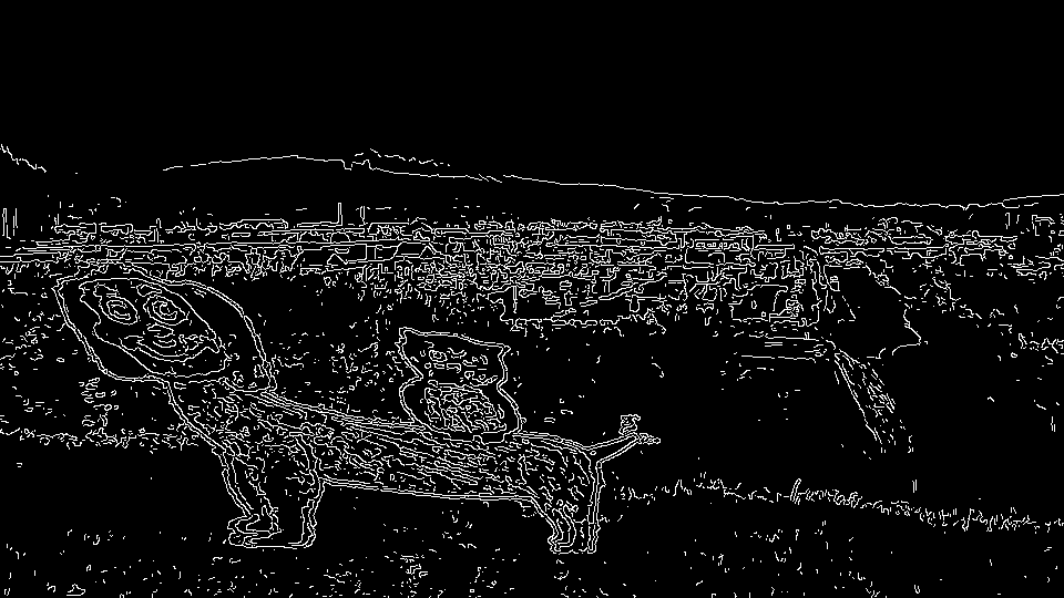  rendered as white lines on black