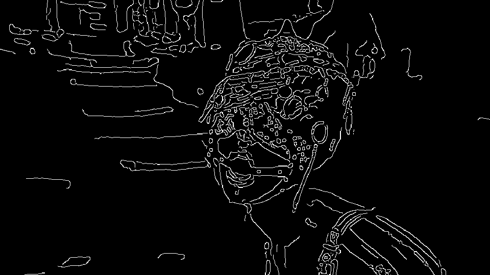 porn-modded skyrim screenshot